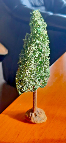 Uralt luffa baum - luffa,